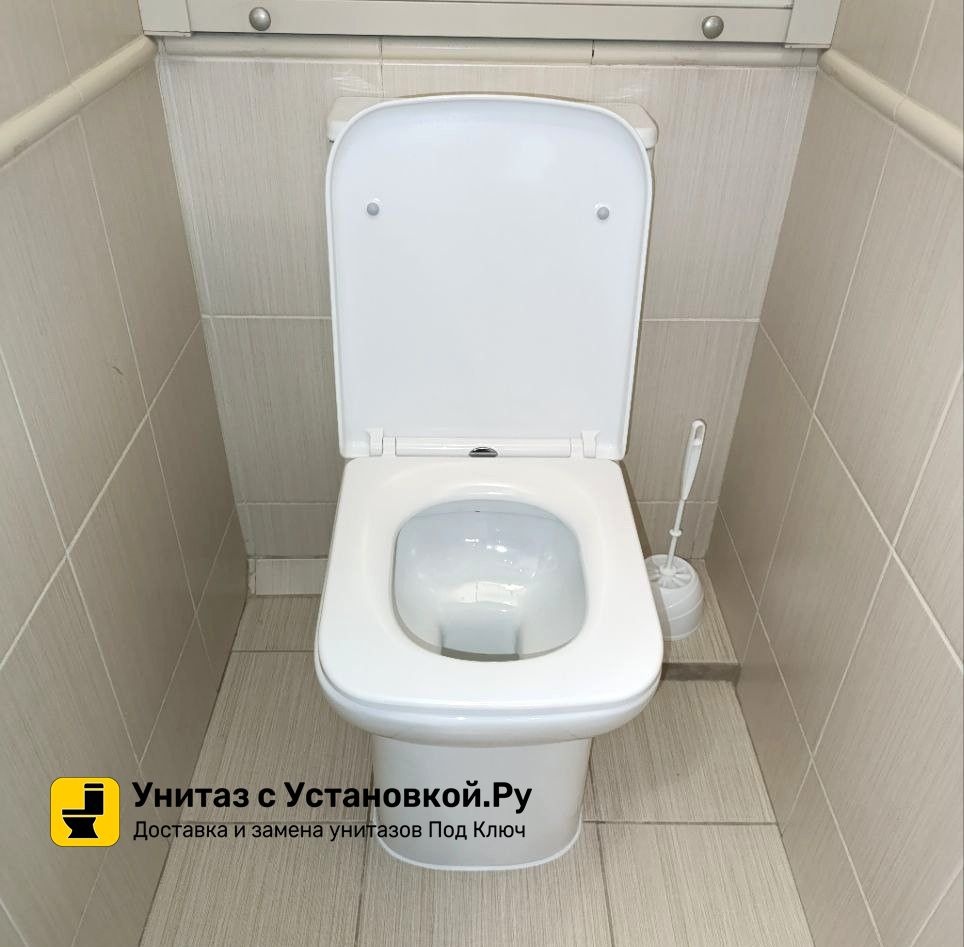 Унитаз Azario Alba AZ-8323 Безободковый Выпуск Горизонтальный