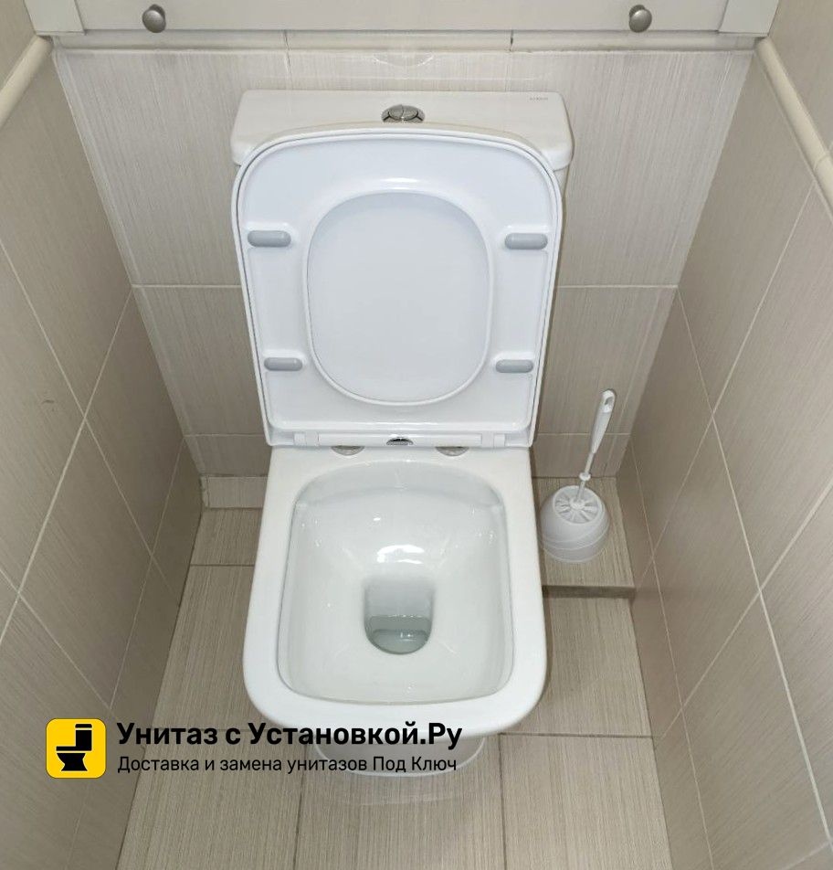 Унитаз Azario Alba AZ-8323 Безободковый Выпуск Горизонтальный