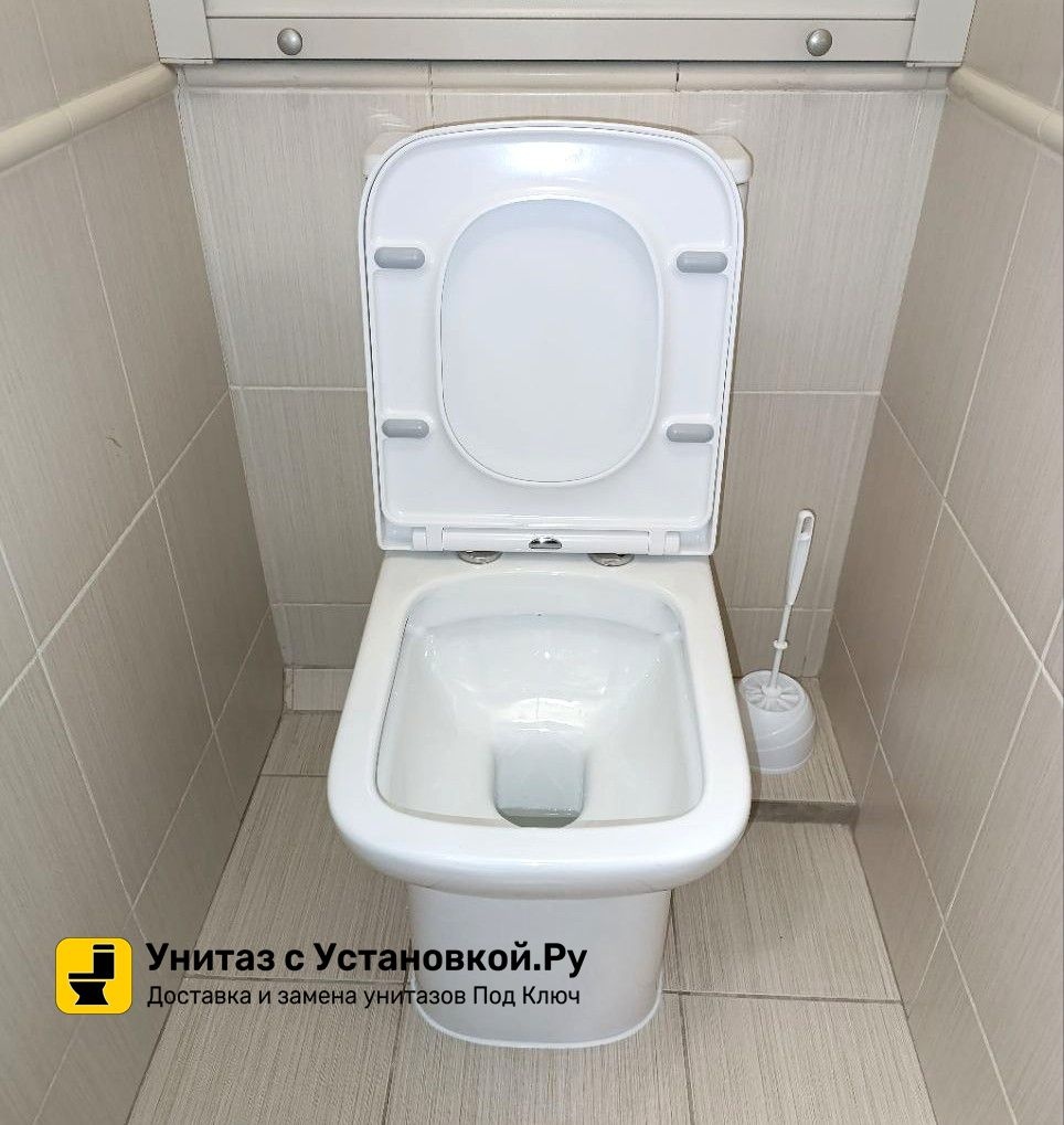 Унитаз Azario Alba AZ-8323 Безободковый Выпуск Горизонтальный