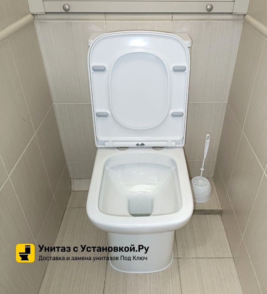 Унитаз Azario Alba AZ-8323 Безободковый Выпуск Горизонтальный