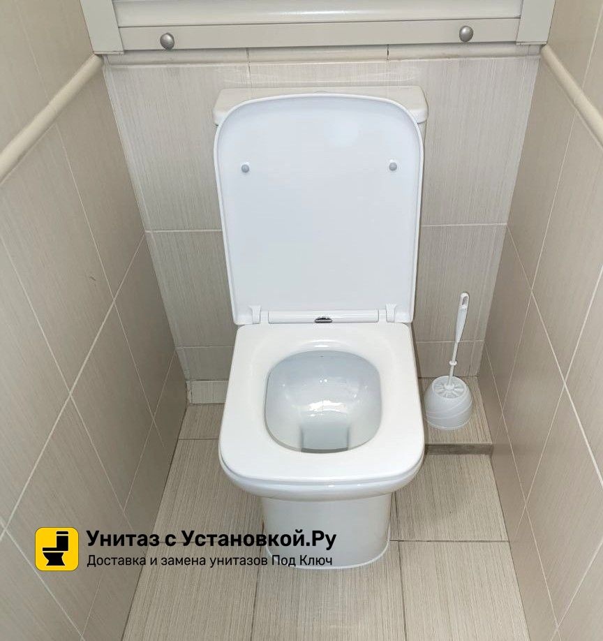 Унитаз Azario Alba AZ-8323 Безободковый Выпуск Горизонтальный