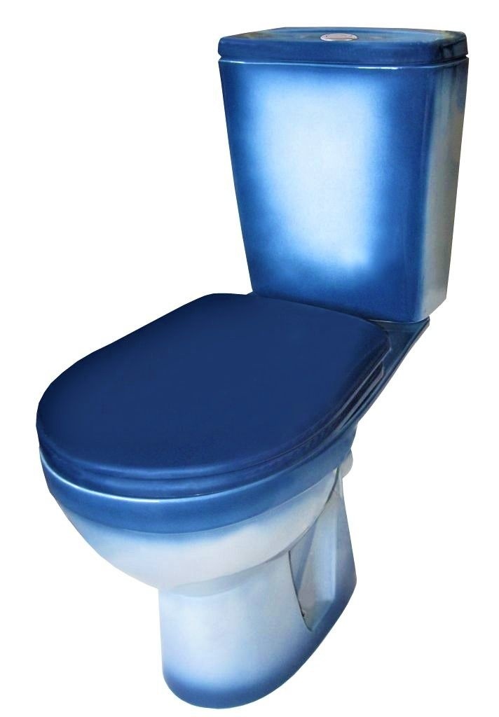 Унитаз Кировская Керамика Rosa Рио Синий Декор Горизонтальный Выпуск